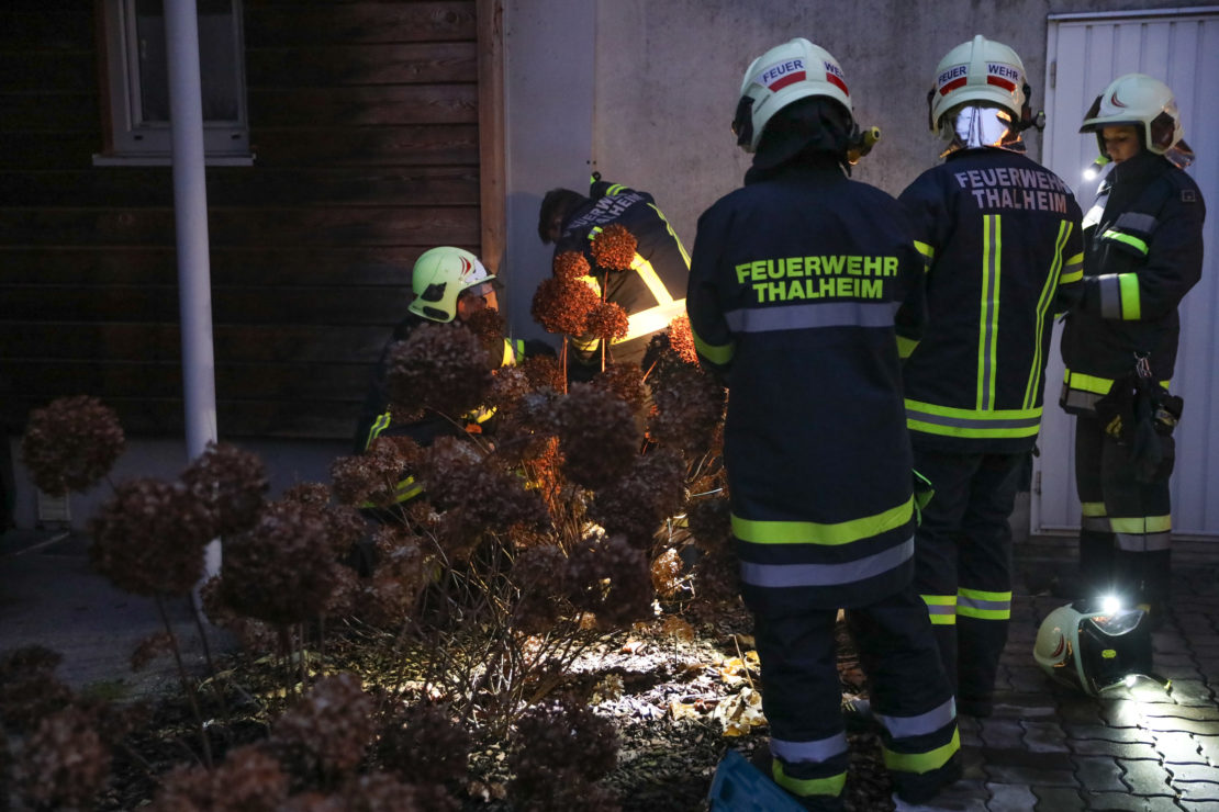 Katze zwischen Garage und Hausfassade - Feuerwehr zur Tierrettung nach Thalheim bei Wels alarmiert