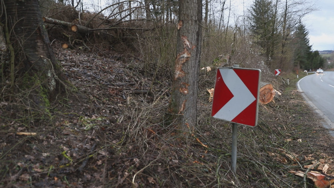 Schwer verletzt: Autolenker wollte bei Krenglbach umgestürztem Baum ausweichen und kracht gegen Baum
