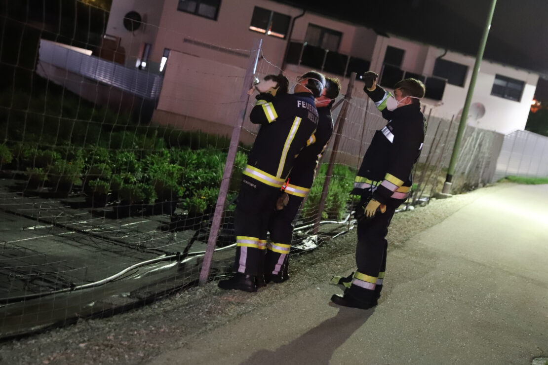 Feuerwehr befreit in Wels-Schafwiesen Katze aus einer Notlage