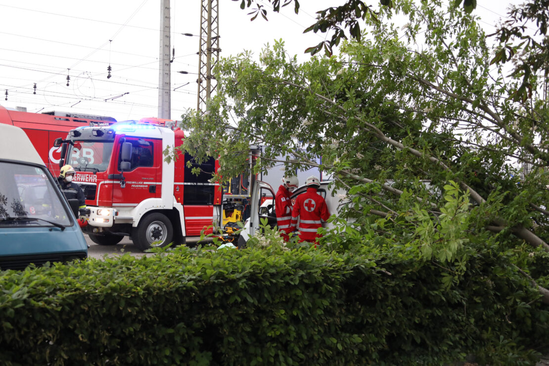 Personenrettung: Baum stürzt in Wels-Neustadt während Gewitter auf parkenden Kleintransporter