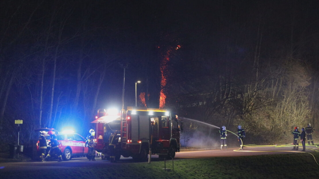 Schwieriger Löscheinsatz bei Brand eines Baumes in Thalheim bei Wels