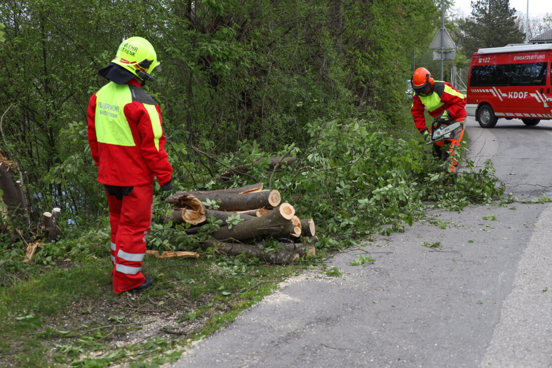 Feuerwehr bei umgestürzten Baum in Marchtrenk im Einsatz