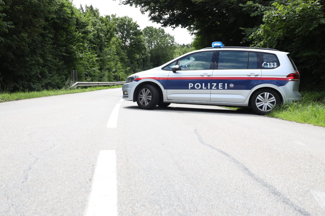 Pferde auf Straße: Polizei sperrte Straßenabschnitt zwischen Gunskirchen und Pichl bei Wels