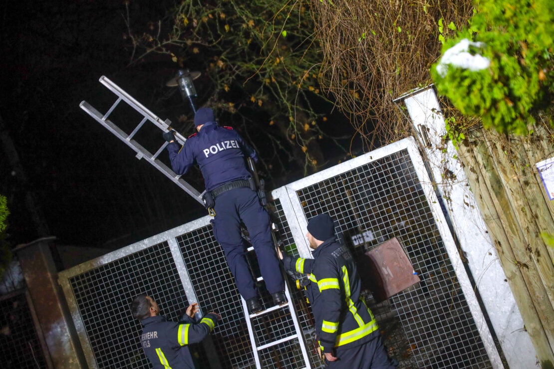 Einsatz im Tiergarten: Feuerwehr zu Assistenzleistung für Polizei nach Wels-Lichtenegg alarmiert