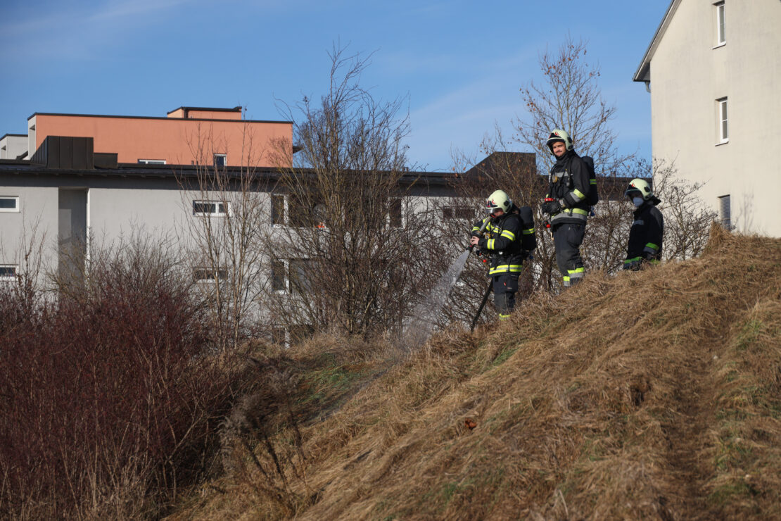 Flurbrand auf einem Erdwall in Wels-Neustadt