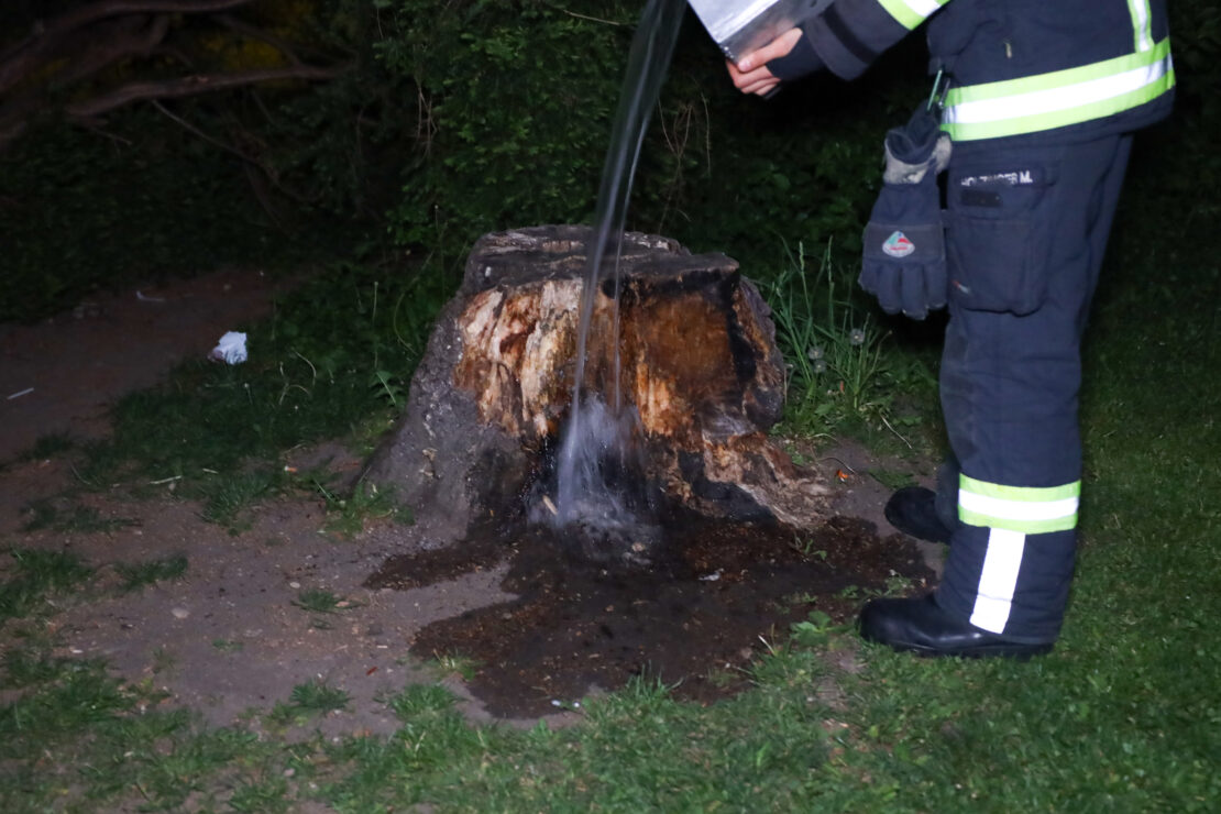 Brand eines Baumstumpfes in Wels-Vogelweide sorgt für Einsatz der Feuerwehr
