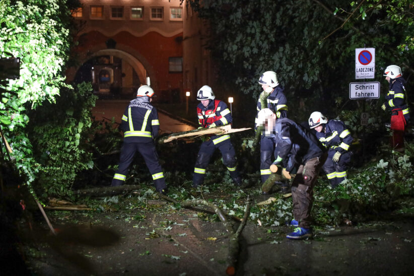 Umgestürzte Esche blockierte Straße in Bad Wimsbach-Neydharting