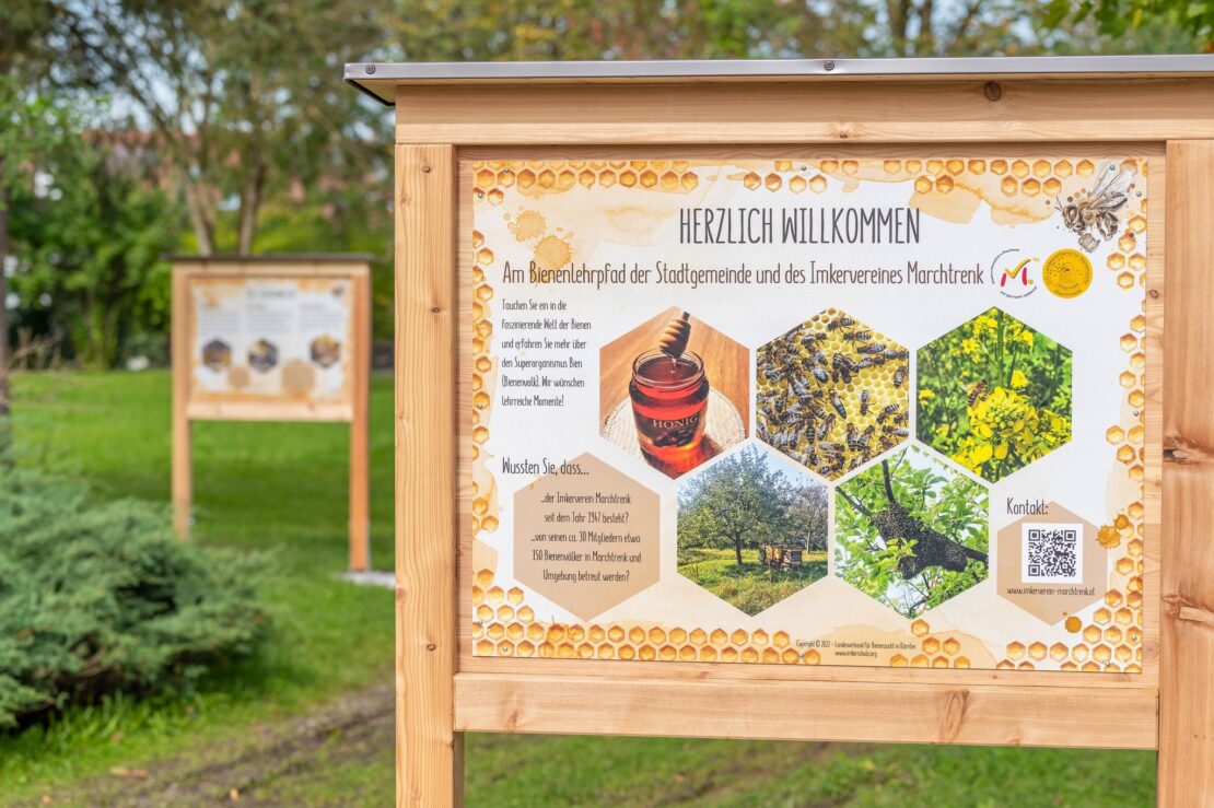 Neuer Bienenlehrpfad in Marchtrenk