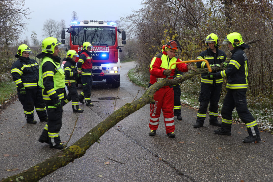 Umgestürzter Baum sorgte für Einsatz der Feuerwehr in Marchtrenk