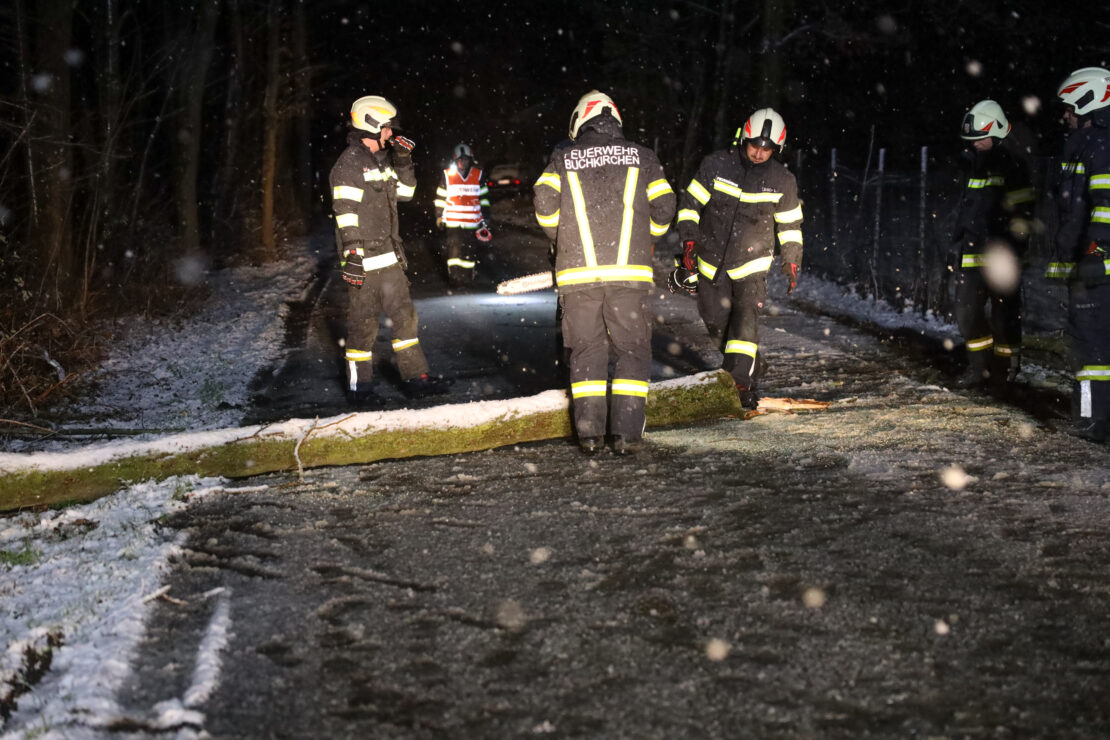Sturmböen und Schneefall: Umgestürzte Bäume sorgten für Einsätze der Feuerwehren in Oberösterreich