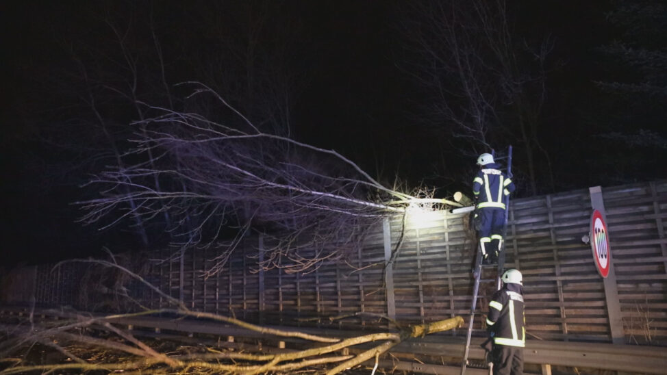 Sturmtief mit Böen in Orkanstärke sorgt für Einsätze der Feuerwehren in Oberösterreich