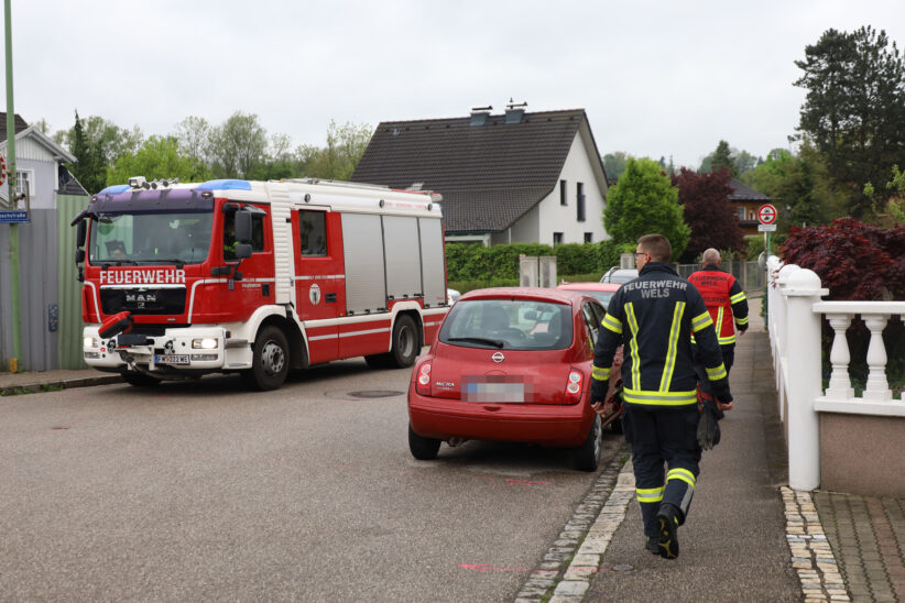 Reh im Schenkelbach löste Einsatz der Feuerwehr in Wels-Pernau aus