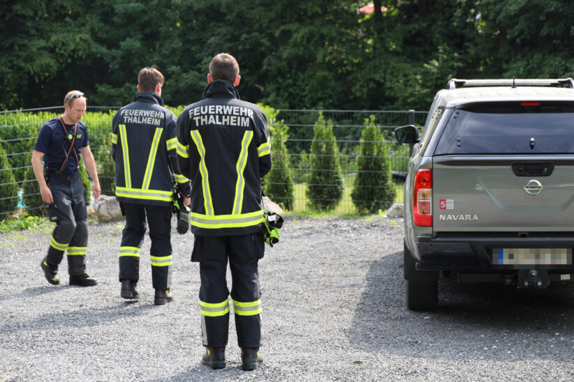 Feuerwehr zu Tierrettung nach Thalheim bei Wels alarmiert