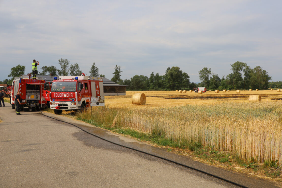 Zwei Feuerwehren bei Feldbrand in Weißkirchen an der Traun im Einsatz