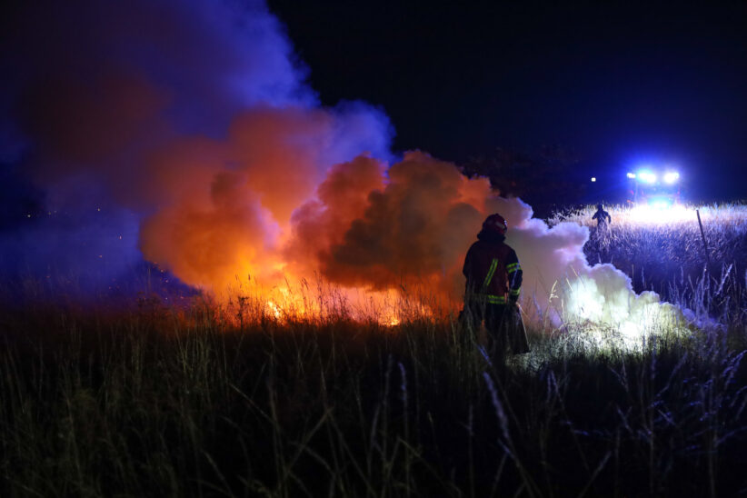 Flurbrand in Wels-Neustadt sorgt für Einsatz der Feuerwehr