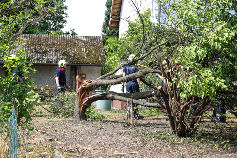 "Baum auf Dach gestürzt": Sturmschaden in Marchtrenk weniger dramatisch als gemeldet