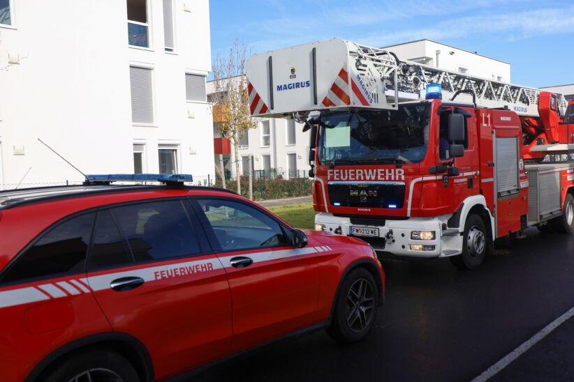 Brand befürchtet: Verbrannte Pizza in Wohnung in Wels-Vogelweide nach durchzechter Halloween-Nacht