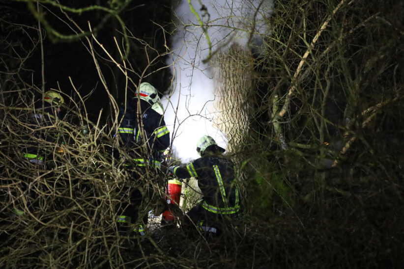 Brand eines hohlen Baumes in Wels-Vogelweide sorgt für Einsatz der Feuerwehr