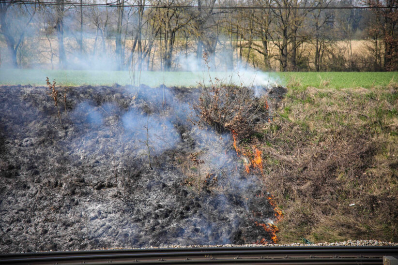 Brand im Bereich der Bahnböschung in Marchtrenk sorgte für Einsatz zweier Feuerwehren