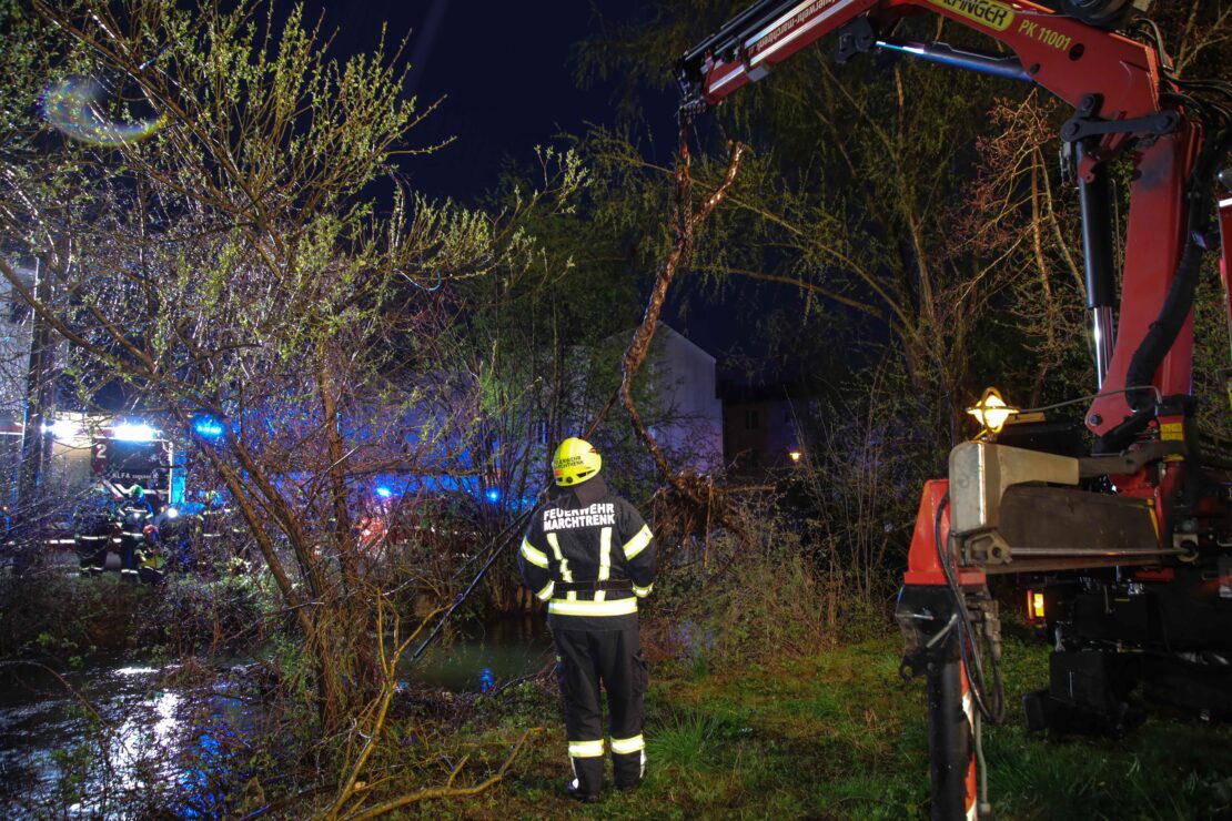 Feuerwehr fischte in Marchtrenk großen Ast und aus dem Moserbach