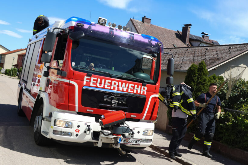 Entenfamilie rief Kräfte von Feuerwehr und Ordnungswache in Wels-Pernau auf den Plan