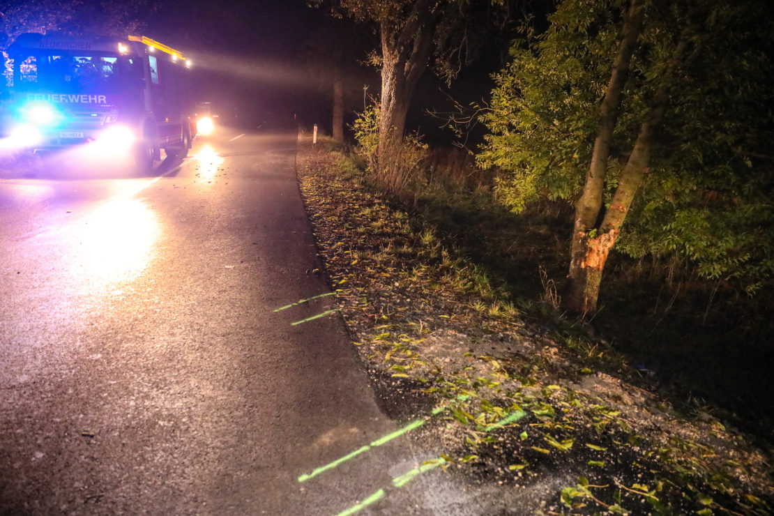 Lenker verletzt: Auto bei Unfall in Wels-Land frontal gegen einen Baum gekracht
